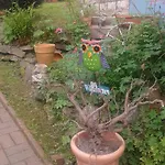 Bubi Niedlich Casa de Férias