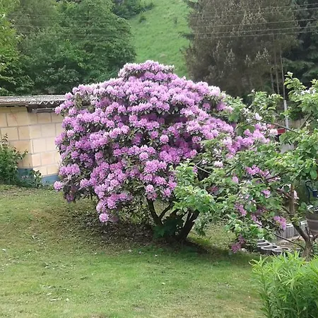 Feriehus Bubi Niedlich *