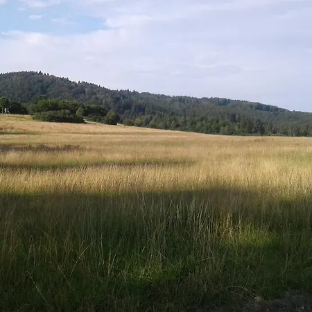 Bubi Niedlich * Thale