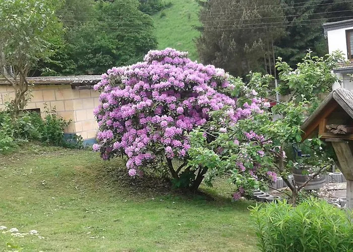 Prázdninový dům Bubi Niedlich *