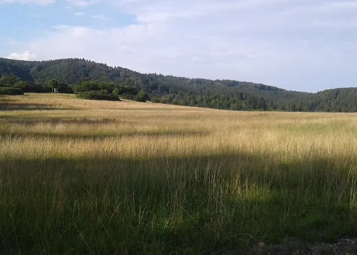 Bubi Niedlich * Thale